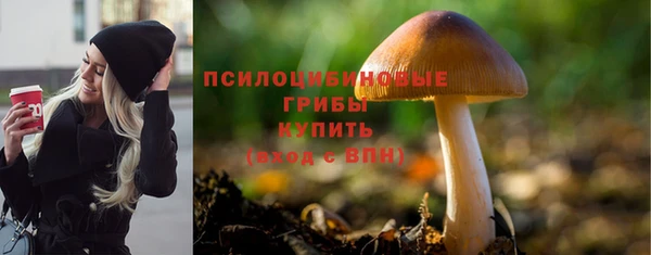 а пвп мука Алзамай