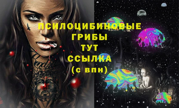 спайс Абинск