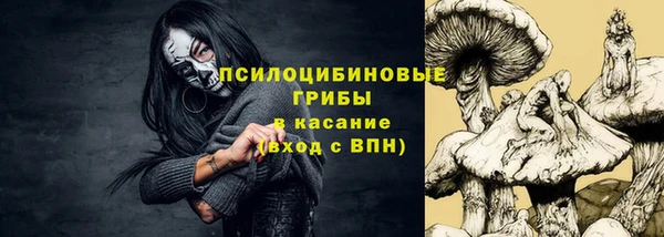 ГАЛЛЮЦИНОГЕННЫЕ ГРИБЫ Алексеевка