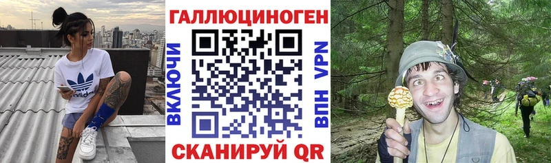 KRAKEN ссылка  Сусуман  Галлюциногенные грибы ЛСД 